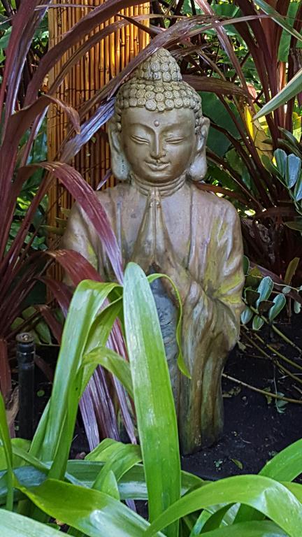 Albany Bali Style Accommodation ภายนอก รูปภาพ