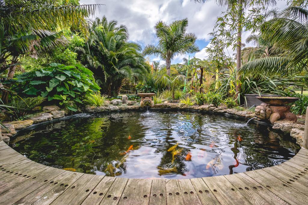 Albany Bali Style Accommodation ห้อง รูปภาพ